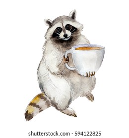 Raccoon With Coffee Mug, Animal Character Isolated On White Background Watercolor Illustration.