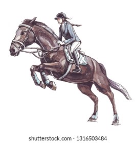 Race horse. Watercolor illustration. Hand drawing sketch. Isolated. - Powered by Shutterstock