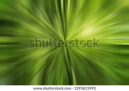 Similar – Image, Stock Photo spring shoots Environment