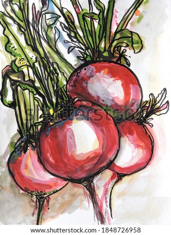 Radishes Watercolor ink vegetable earth bounty garden fresh salad home grown radish red green ink watercolor art painting drawn hand original