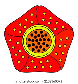 Rafflesia Arnoldi Ikon Bengkulu Indonesia