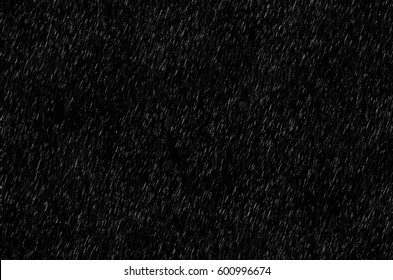 Rain On Black. Rain Texture. Abstract Background