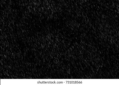 Rain On Black. Rain Texture. Abstract Background