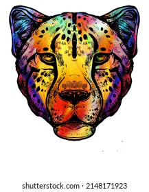 A rainbow colored African Cheetah head and face drawing.
