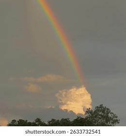 A Rainbow on an Uncertain Sky, That Dared the Strom

pictures by depressed man
