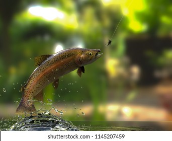 Rainbow trout fish in lake jumping for fly fishing bait. 3d rendering