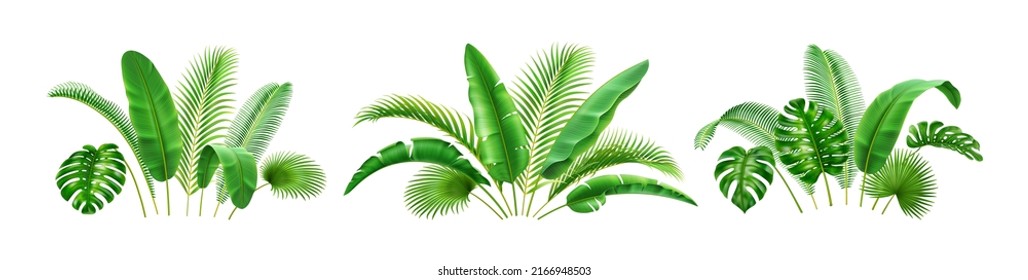 Rainforest Tropical Leaves In Green Bushes, Holiday Resort Summer Decor, Floral Card Design Element. Illustration Of Paradise Coconut Leafage, Hawaii Flora, Abstract Jungle Leafage