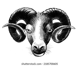 Ram Head Ink Black White Drawing Stock Illustration 2185700605 ...