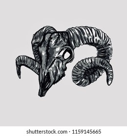 Ram Skull Aries Animal Head Black   White Skeleton Horns