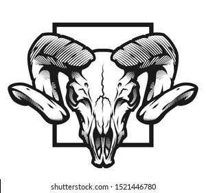 Ram skull  black   white emblem  illustration