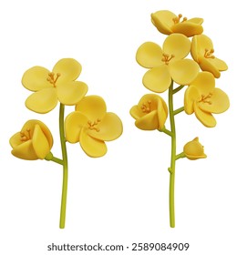 rape seed flower 3D graphic