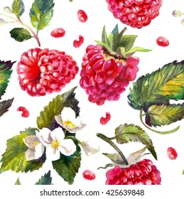 Raspberries Isolated On White. Watercolor Painting, Pattern