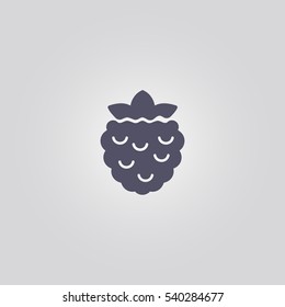 Raspberry Blackberry Icon