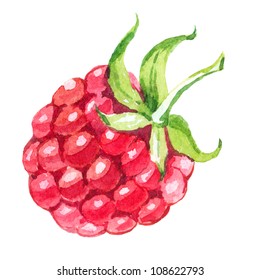 Raspberry Isolated.watercolor Illustration