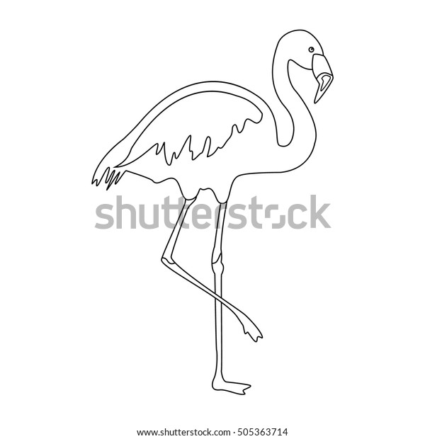 Raster Illustration Flamingo Outline Drawing Exotic Stock Illustration ...