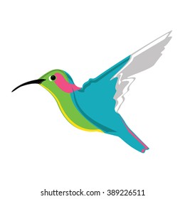 Set Two Stylized Hummingbird Colibri Stock Vector (royalty Free 