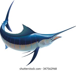 Raster image of a blue marlin isolated on white background.