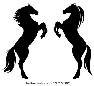 raster - rearing up horse fine silhouette and outline - graceful black stallions against white (vector version is available in my portfolio)