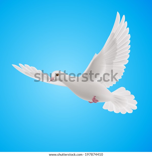 Raster Version Flying White Dove On Stock Illustration 197874410