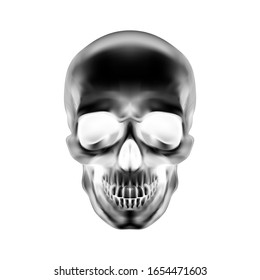 Raster version. Human Skull on White Background. The Concept of Death, Horror. A Symbol of Spooky Halloween