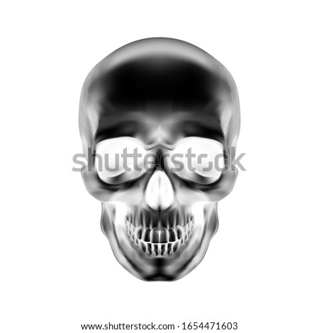 Raster version. Human Skull on White Background. The Concept of Death, Horror. A Symbol of Spooky Halloween