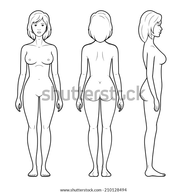 女性の図形のラスター版 輪郭の前面 背面 側面図 のイラスト素材