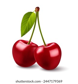 Raster version. Illustration of two red cherries with a green leaf on their stems, set against a white backdrop