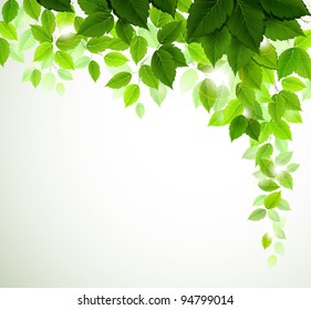 raster version of Summer branch with fresh green leaves