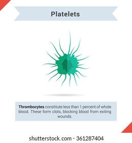 Rasterized Copy. Flat Icon Platelets Cell With Its Components For Articles Presentation Or Other Media With Description