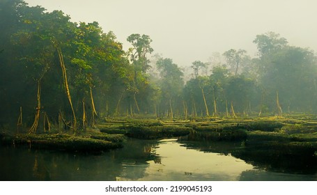 Ratargul Swamp Forest Summer Water Trees Sky