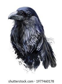 Raven head in grunge style. Watercolor drawing