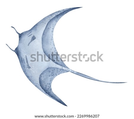 Ray Fish. Watercolor hand drawn illustration of Stingray on isolated background. Giant sea devil in pastel blue colors. Drawing of underwater marine tropical wild animal. Sketch of oceanic devilfish.