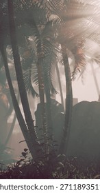 Rays of sunlight shine through tall palm trees, creating a mystical atmosphere in a lush tropical setting. The soft mist adds a serene and enchanting quality to the scenery.