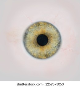 Eye Texture Images Stock Photos Vectors Shutterstock