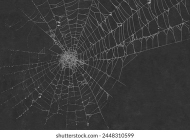 Real frost covered spider web isolated on black