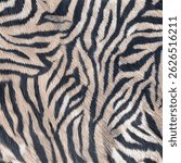 real zebra pattern print ready pattern
