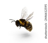 Realistic 3D Bumblebee Model JPG - Essential for Nature Studies and Conservation Awareness Efforts
