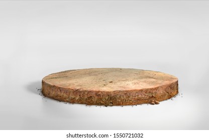 realistic 3D Illustration circle soil ground cross section with earth land on white, 3D rendering round cutaway terrain floor with rock isolated
