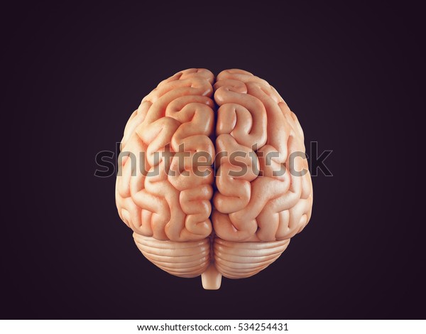 黒い背景に人間の脳の正面図のリアルな3dイラスト のイラスト素材