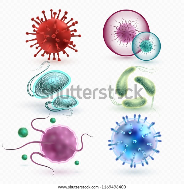 リアルな3d顕微鏡ウイルスと細菌セット 微細細胞疾患 細菌 微生物イラスト のイラスト素材