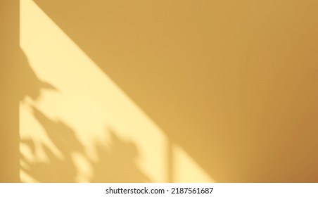 Realistic 3D render beautiful bright empty mustard yellow wall and morning sunlight   foliage leaves shadow  Backdrop  Colourful  Backdrop  Abstract  Nature 