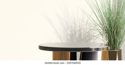 Realistic 3D Render Blank Empty Space On Round Shiny Metal Table With Sunlight And Fresh Green Grass Plants, Leaves Shadow On White Wall In Background. Backdrop, Templates, Products Display, Mock Up