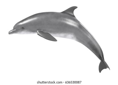 ボトレノースイルカのリアルな3dレンダリング のイラスト素材 Shutterstock