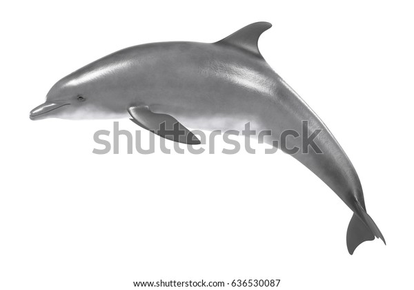 Realismo 3d De Delfin De Botella Ilustracion De Stock