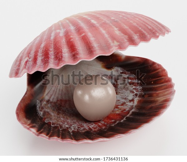 真珠を使った蛤のリアルな3dレンダリング のイラスト素材 Shutterstock