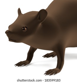 realistic 3d render of rat