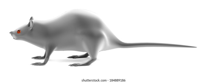 realistic 3d render of rat