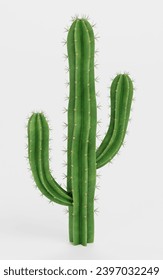 Realistic 3D Render of Saguaro Cactus