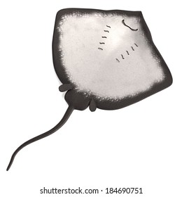 realistic 3d render of stingray