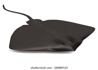 realistic 3d render of stingray